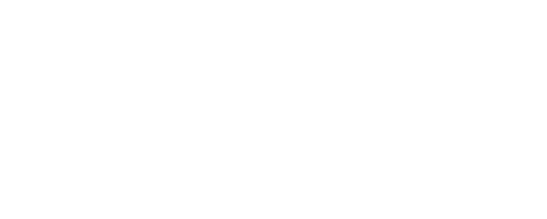 Logo_3FNormanvie_blancx4